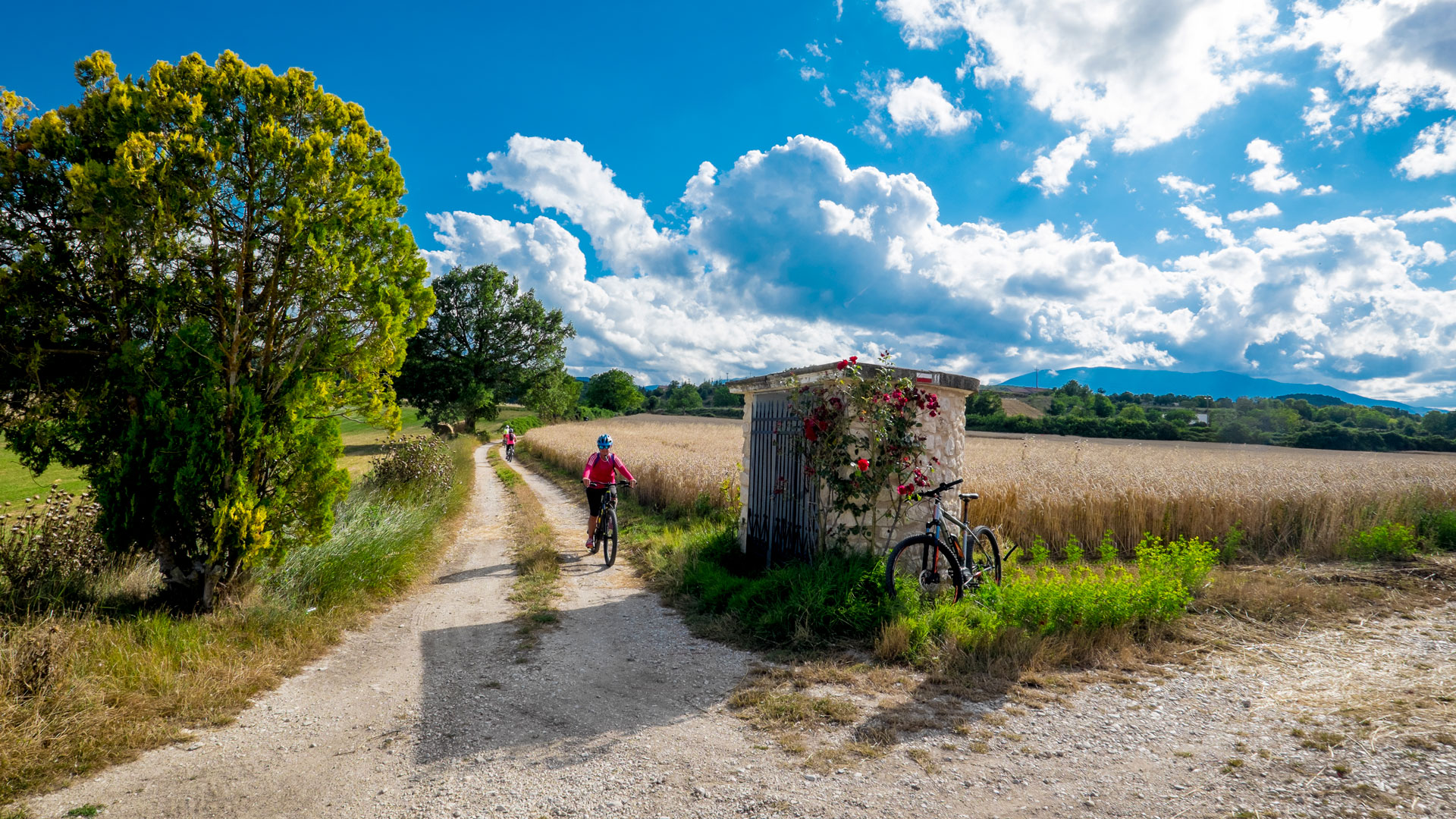 In E-Bike sulla Piana di Navelli con i suoi Castelli e le sue Chiese