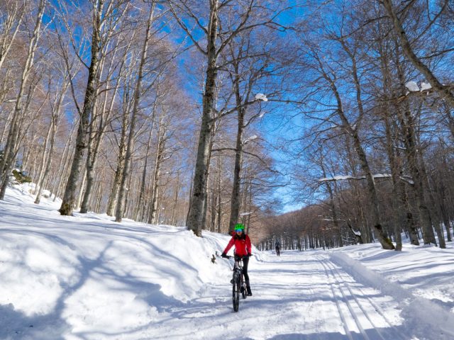 E-Bike e Neve