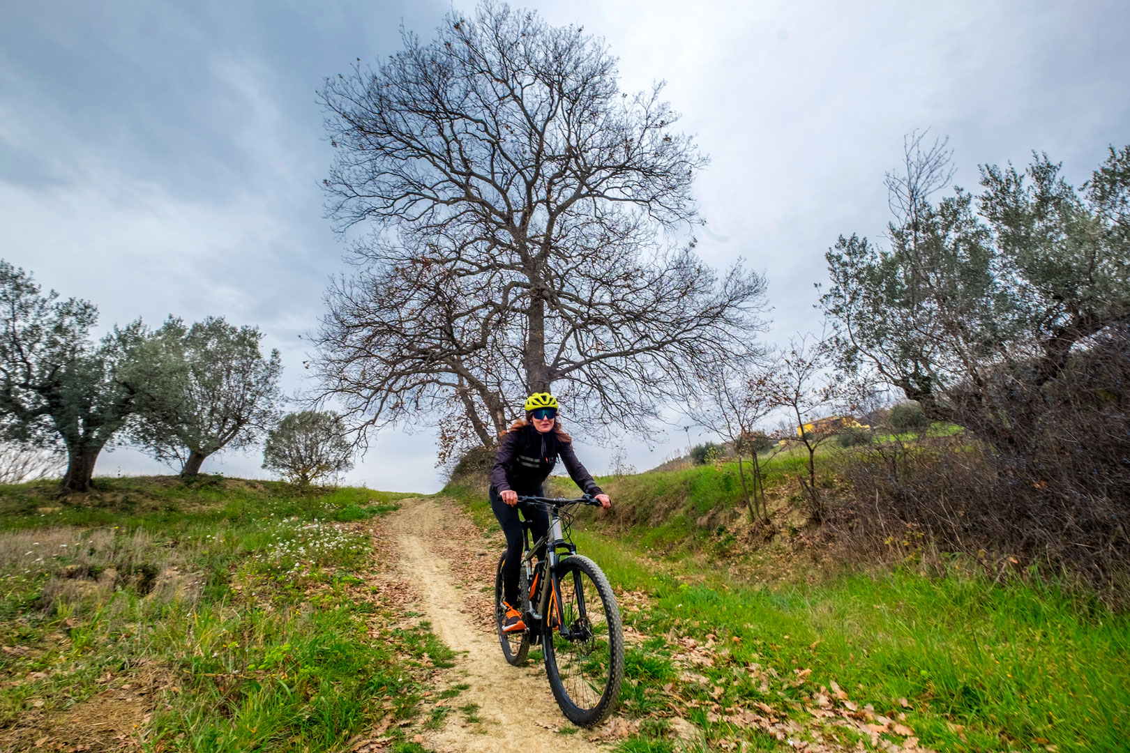 In E-Bike sulle Colline Giuliesi e i suoi Borghi