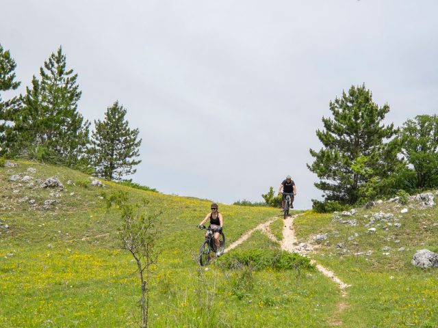 aielli