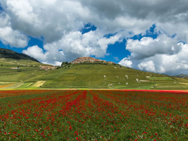 castelluccio di norcia