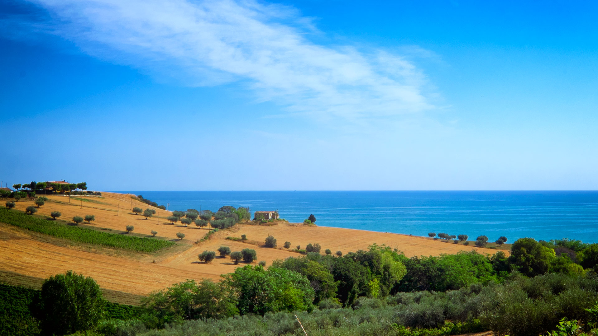 Abruzzo da vedere  - La Riserva Regionale Naturale Regionale del Borsacchio