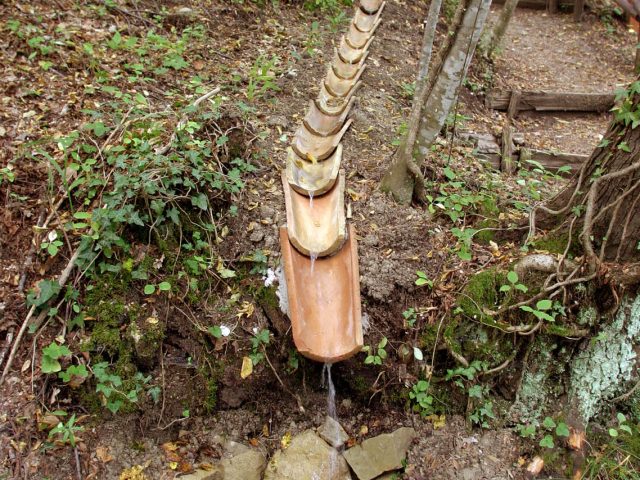 Torrente didattico